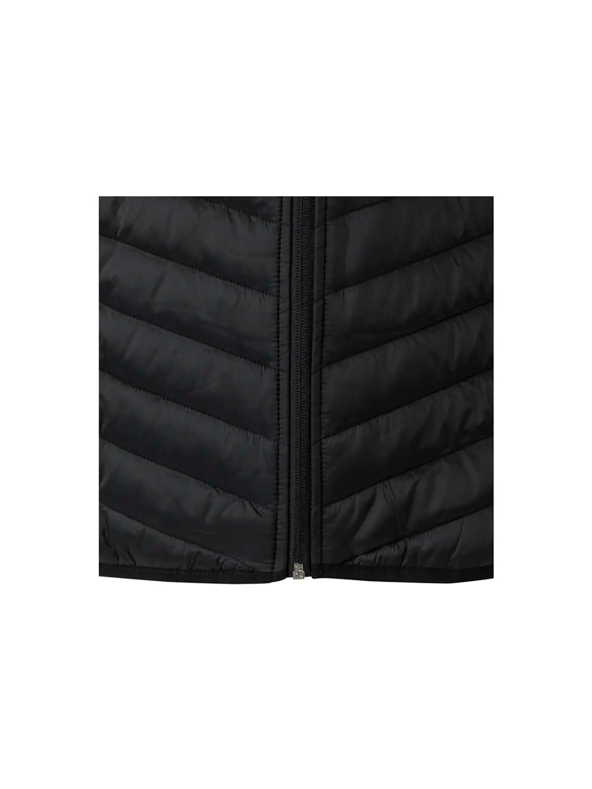 Chaqueta acolchada ligera Velilla 206009