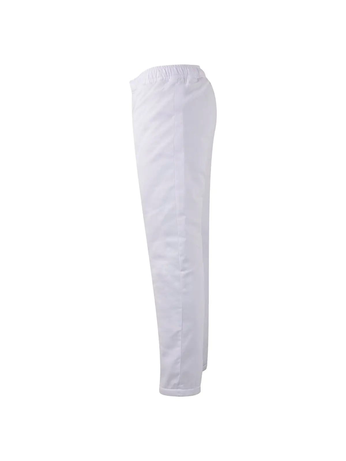 Pantalón para ambientes fríos Velilla 253002