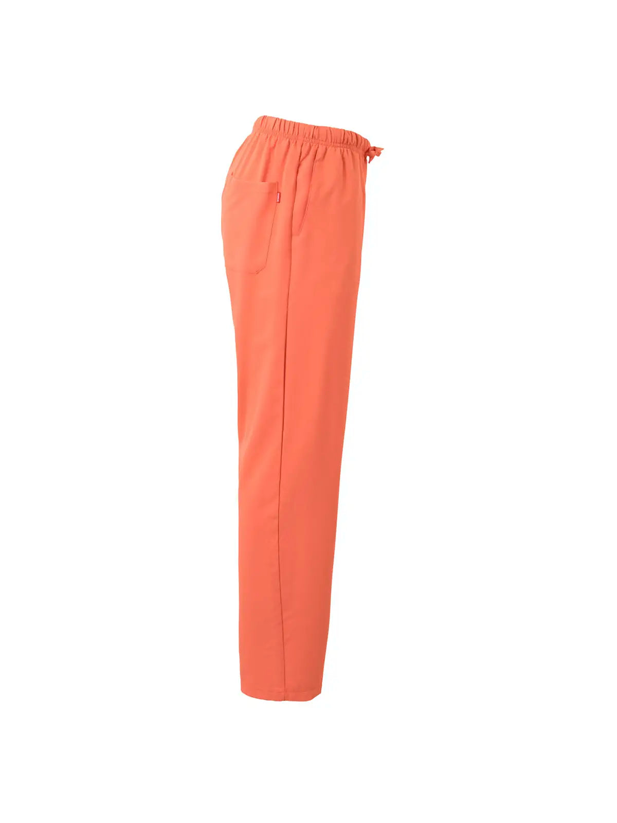 Pantalón sanitario microfibra Velilla 533007